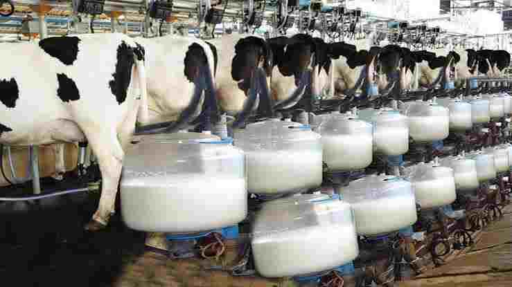 Top 10 Agriculture Business Ideas in 2023Dairy Farming