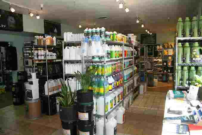 Top 10 Agriculture Business Ideas in 2023
Hydroponic Retail Store Business